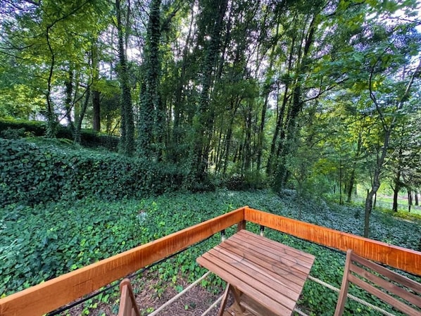 A wooden bench in a forested area with dense foliage and trees.