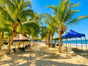 Een strand met palmbomen, ligstoelen en parasols.