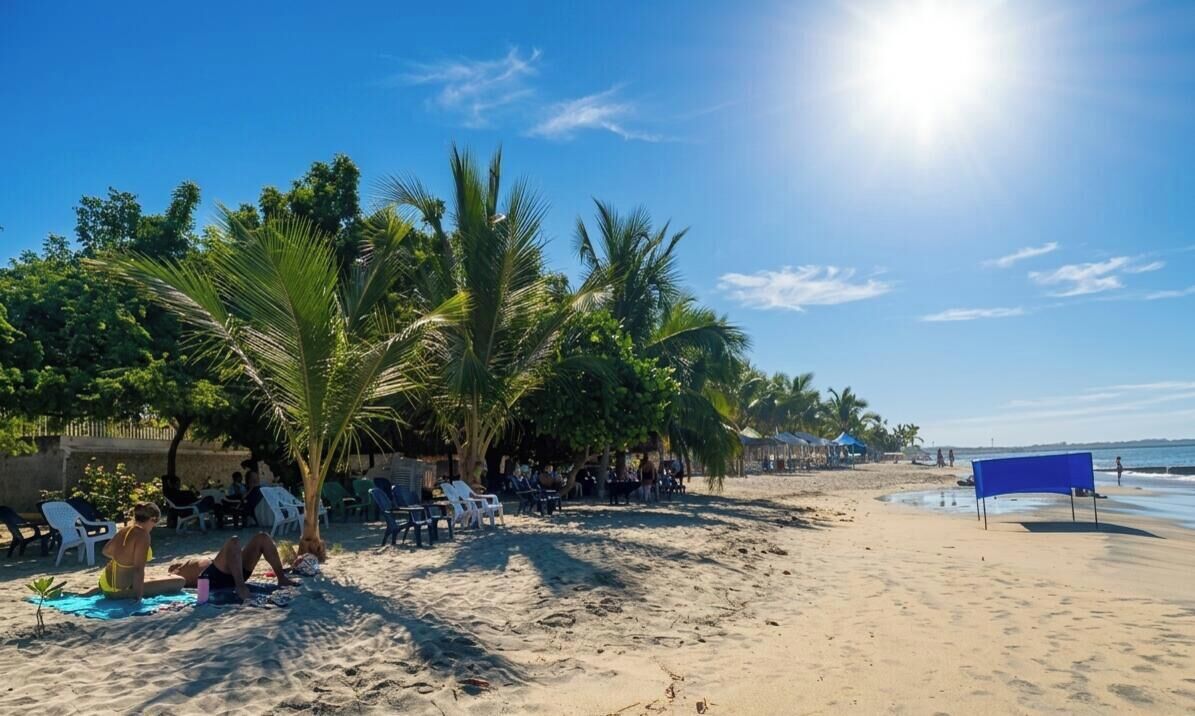 Une plage avec des palmiers, du soleil et des gens.