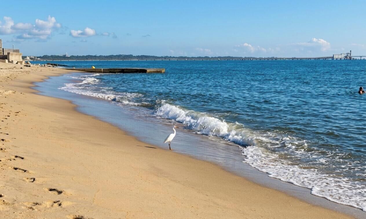 Playa