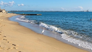 Ein Strand mit einem Steg im Hintergrund, ein Vogel im Sand und Fußabdrücke, die ins Wasser führen.