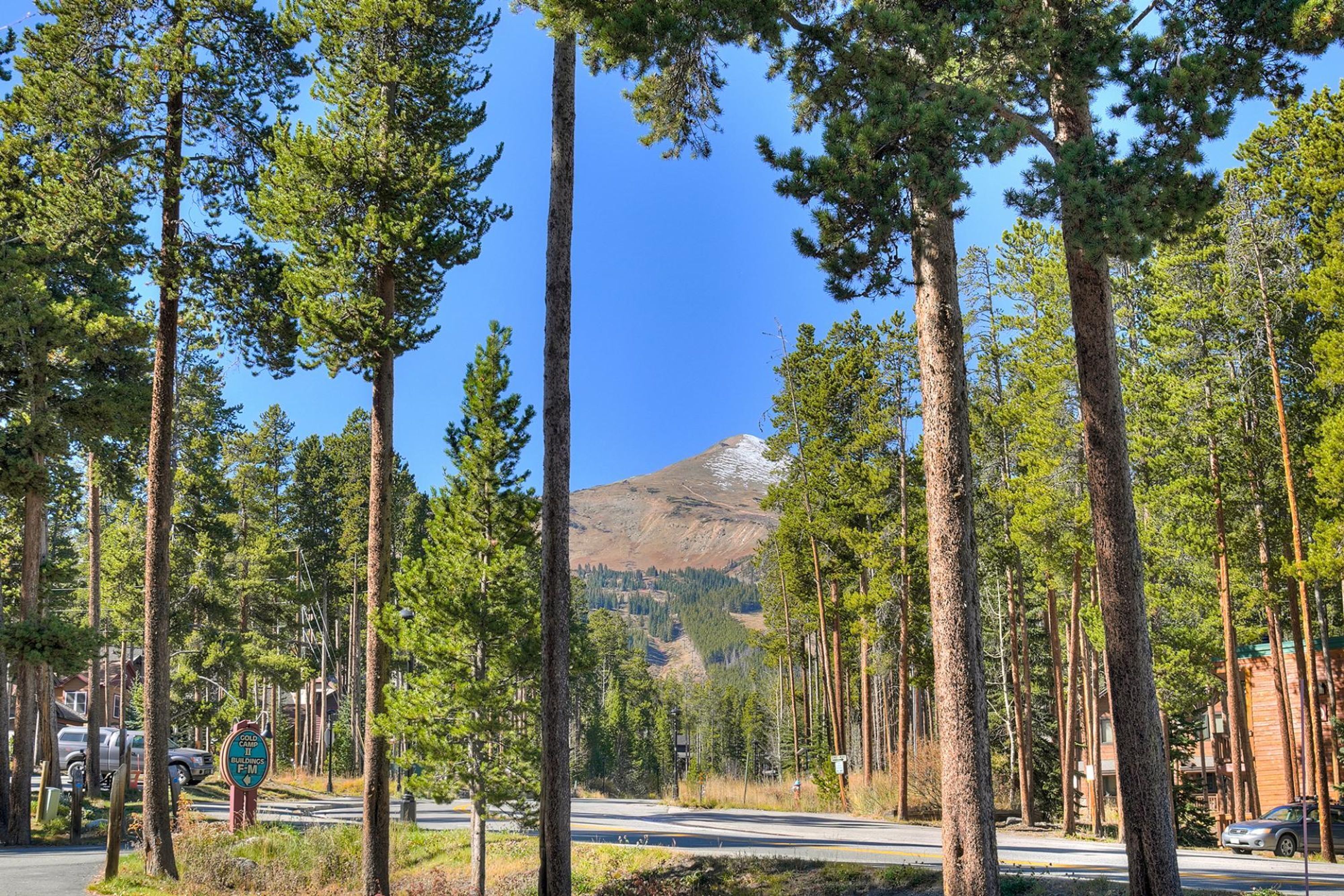 A road lined with tall pine trees, a mountain in the background, and a sign indicating a campground.