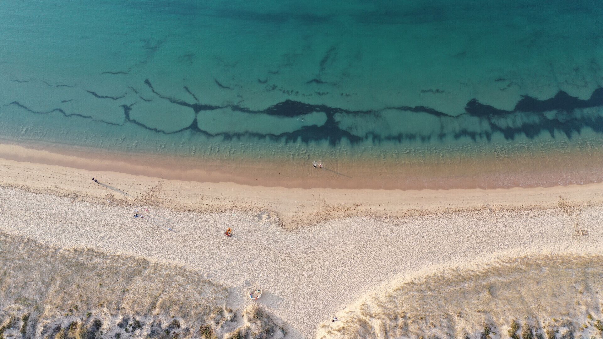 An aerial view of a beach with clear water, sandy shore, and sparse vegetation.