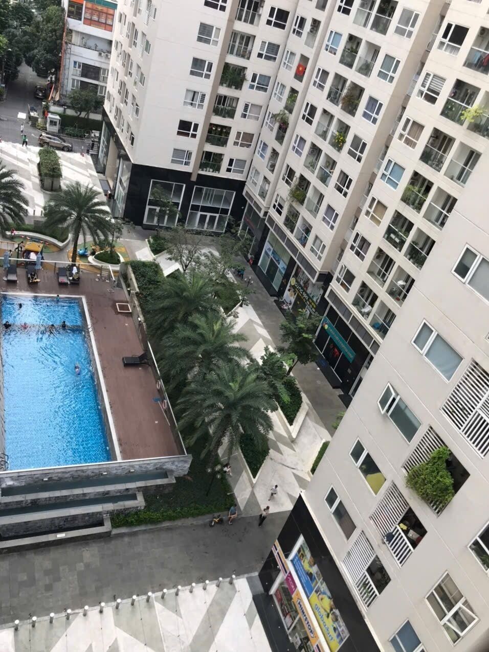 A high-rise residential building with a rooftop swimming pool, palm trees, and a pedestrian walkway.