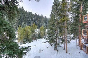 Une forêt enneigée, avec de grands arbres à feuilles persistantes et une construction en bois qui ressemble à un chalet.
