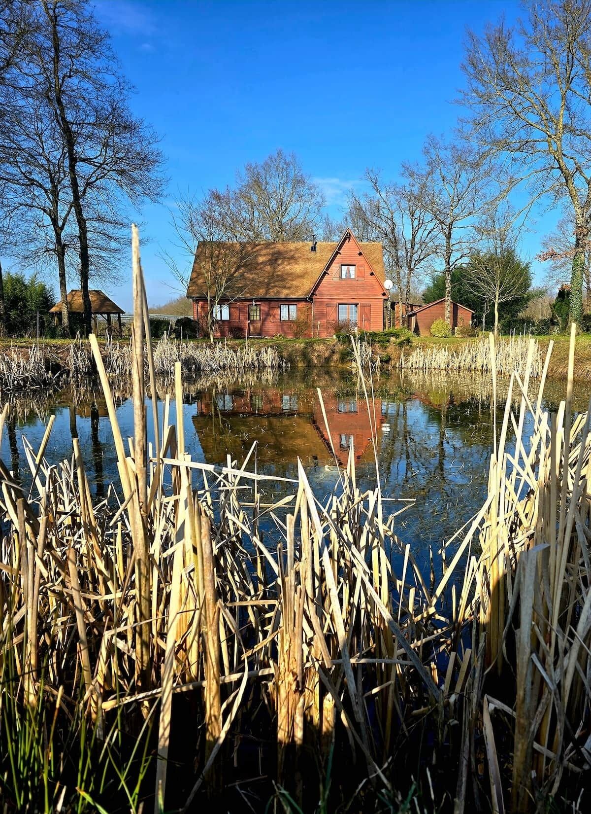 A house with a pond in front, surrounded by trees and reeds.