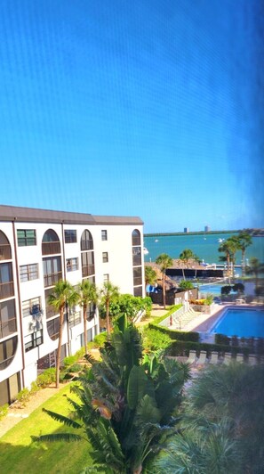 Pool - Marco Island --- Stay in Paradise! (Marco Island)