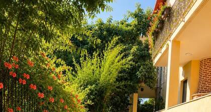 MeloPeno Homes