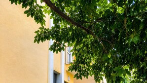 Unclassified image, 3 of 15, button - MeloPeno Homes (Fethiye)
