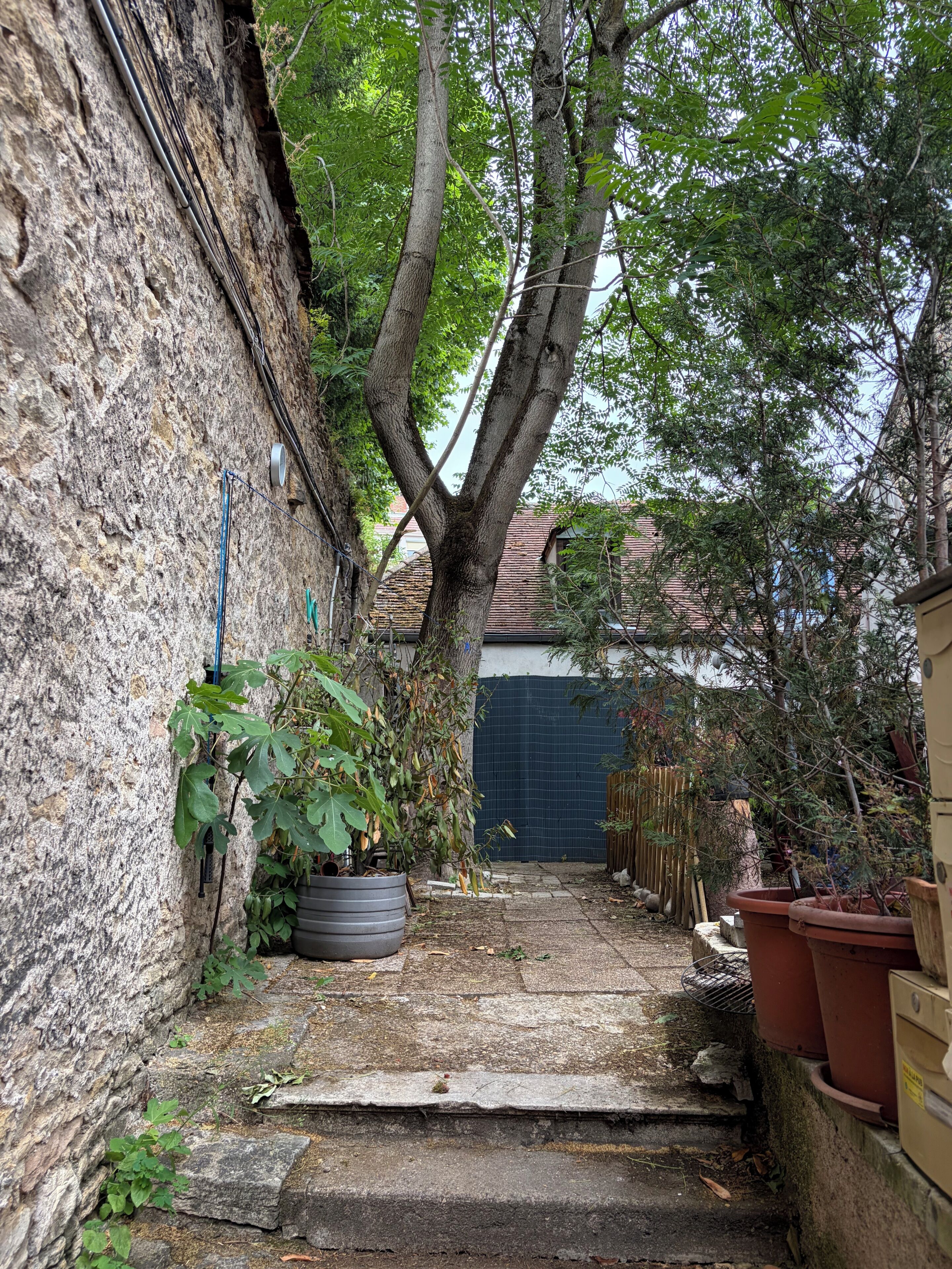 A narrow stone pathway leading to a gate, surrounded by trees and potted plants.