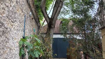 A narrow stone pathway leading to a gate, surrounded by trees and potted plants.