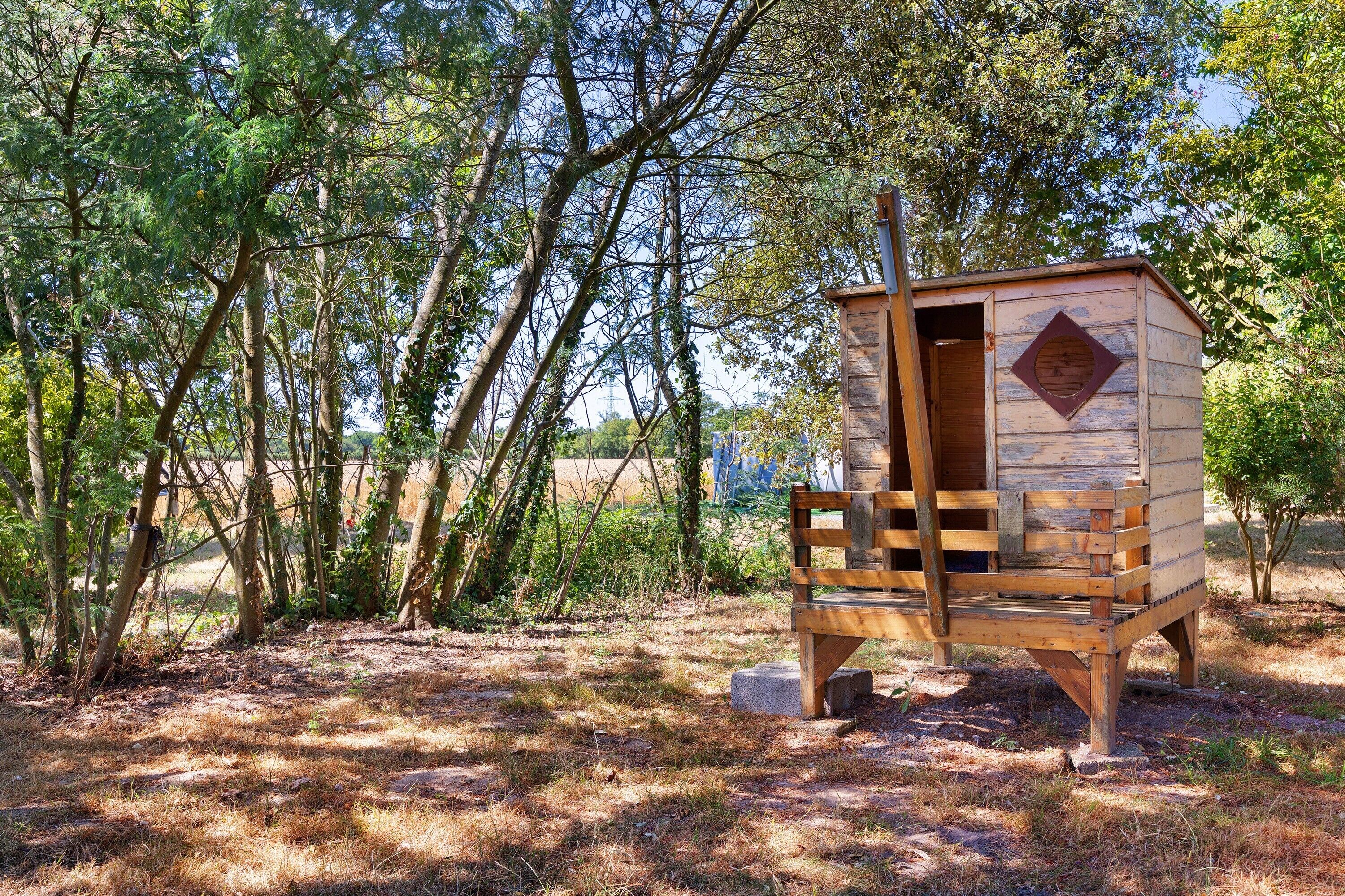 Une cabane en bois avec une porte et une fenêtre, entourée d’arbres et d’herbe.