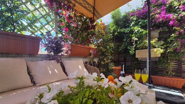 Ein sonniger Sitzbereich im Freien mit einer Couch, Topfpflanzen und einem Tisch mit Blumen und Getränken.