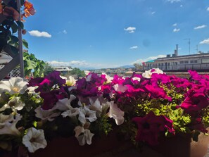 A rooftop garden with a variety of flowers and a clear view of buildings in the background. - Carpegna Suite 92 Apartment with Mountain View, Wi-Fi and Air Conditioning (Rome)