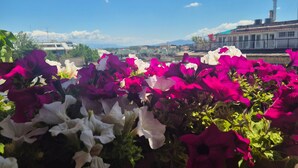 Ein Balkon mit verschiedenen Blumen und freiem Blick auf eine entfernte Skyline.