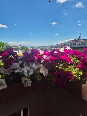 Ein Balkon mit verschiedenen Blumen und freiem Blick auf eine entfernte Skyline.