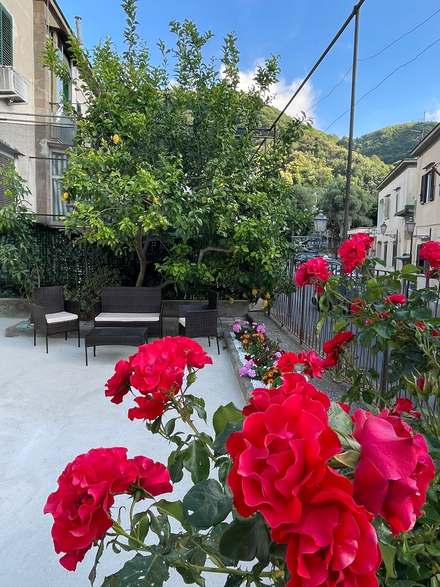 Un patio con un banco, un árbol y flores rojas.