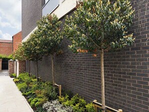 A brick wall with a row of trees planted along it. - Preacher's Yard Stylish Central York Apartment - Courtyard 1 (York)