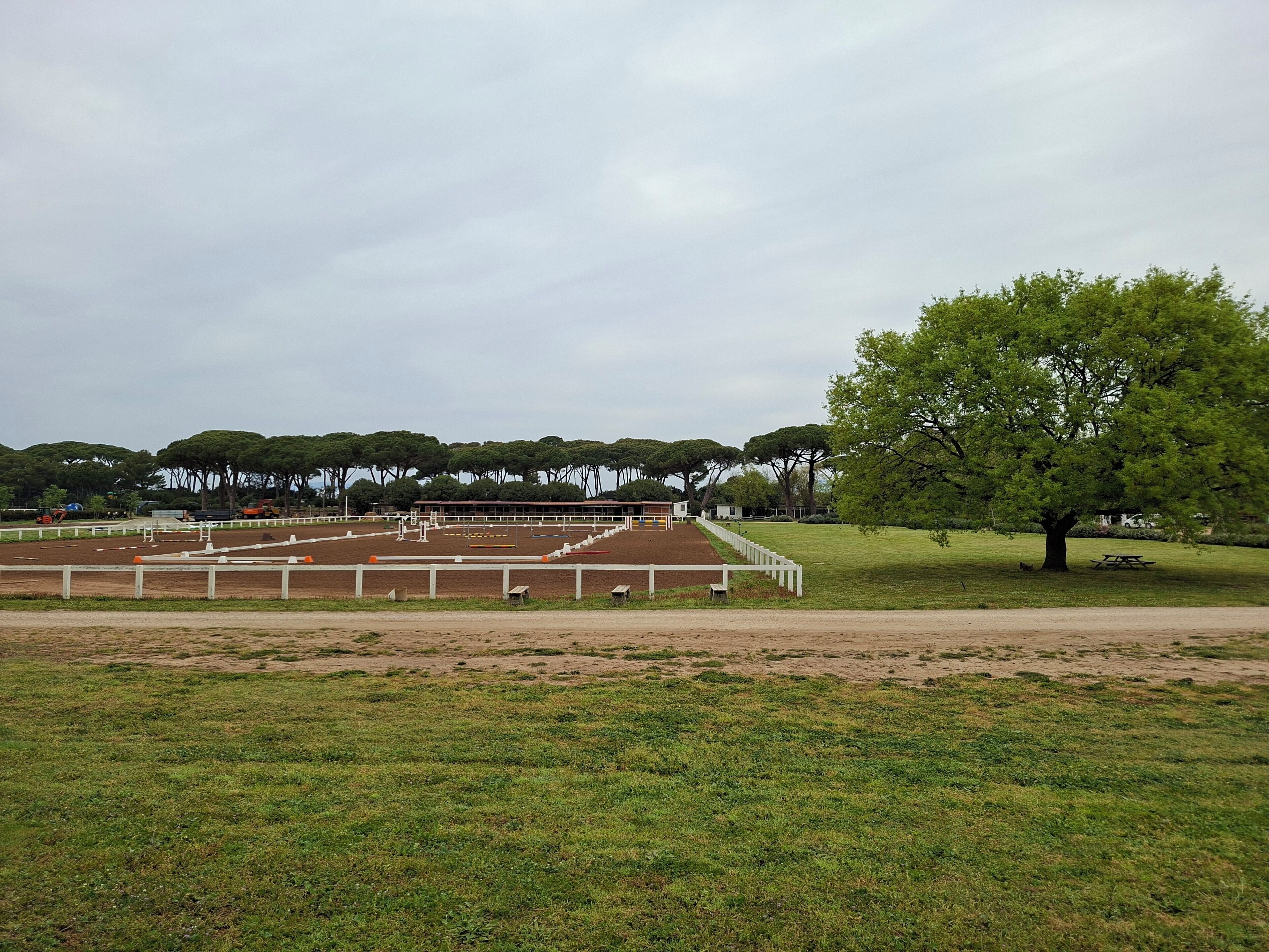 Un'arena equestre all'aperto con recinzioni, un tavolo da picnic e alberi sullo sfondo.