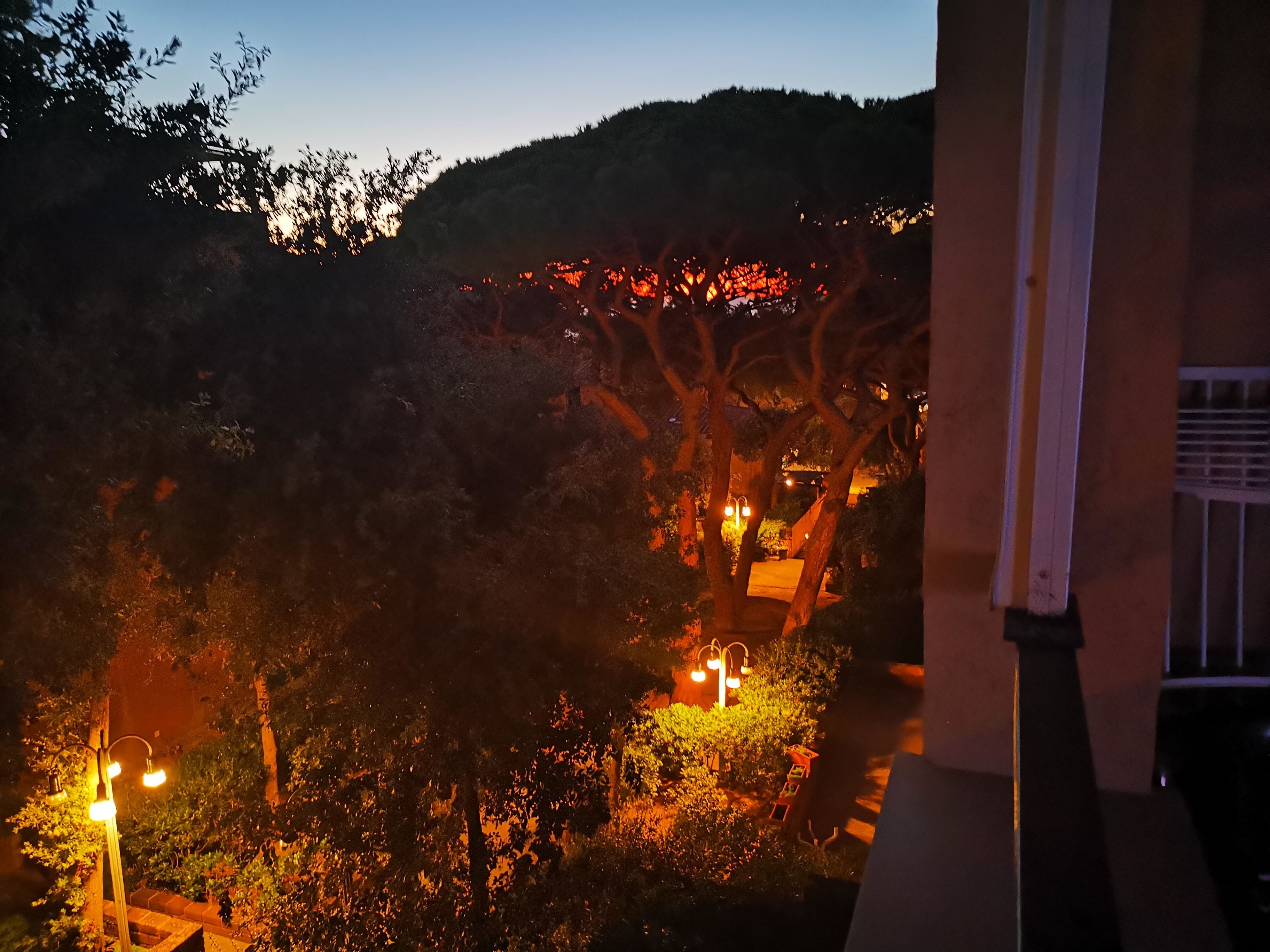 Une vue nocturne d’un jardin avec des arbres et un sentier.