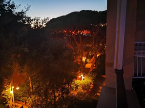Vista nocturna de un jardín con árboles y un sendero.