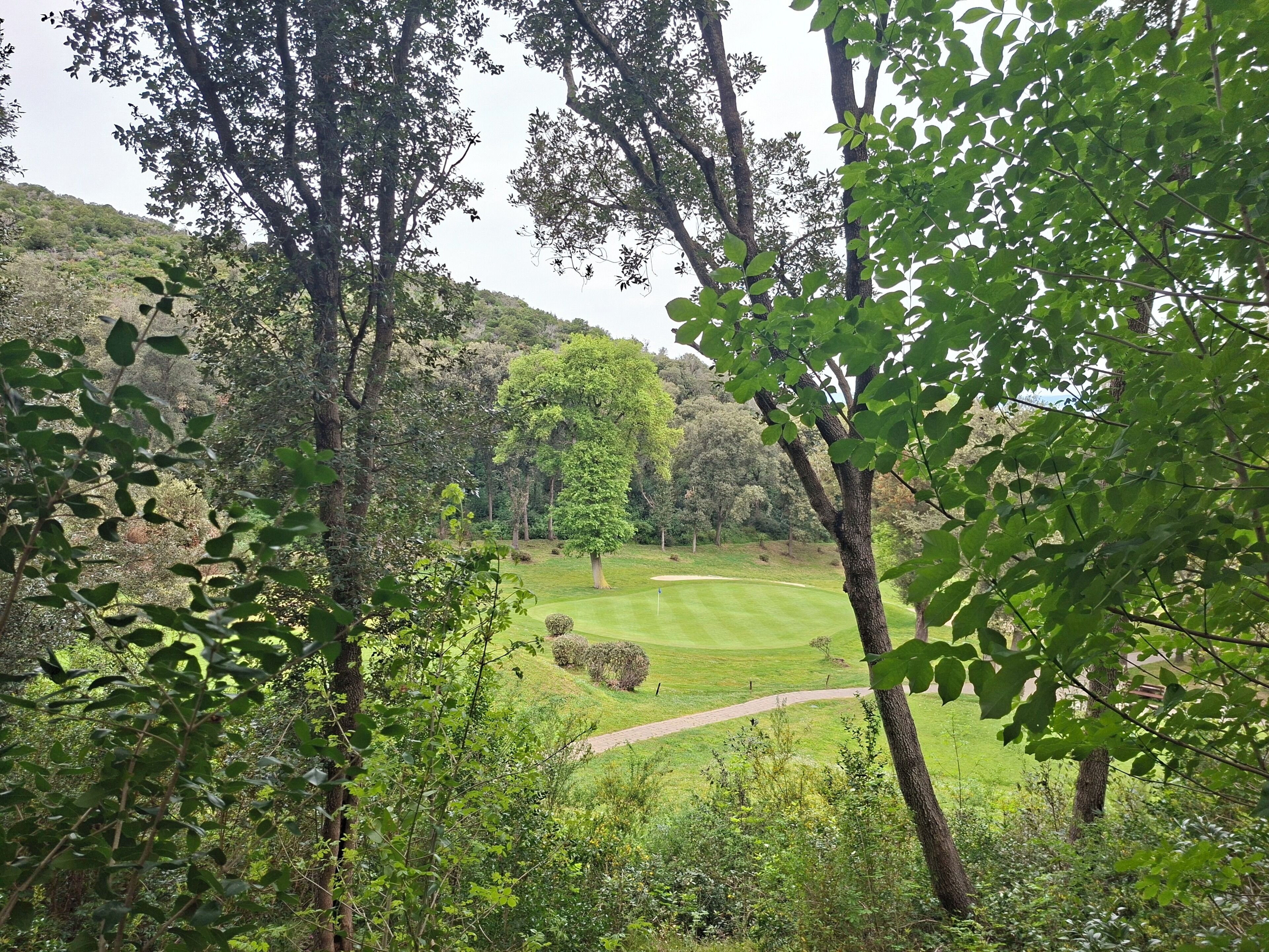Golf