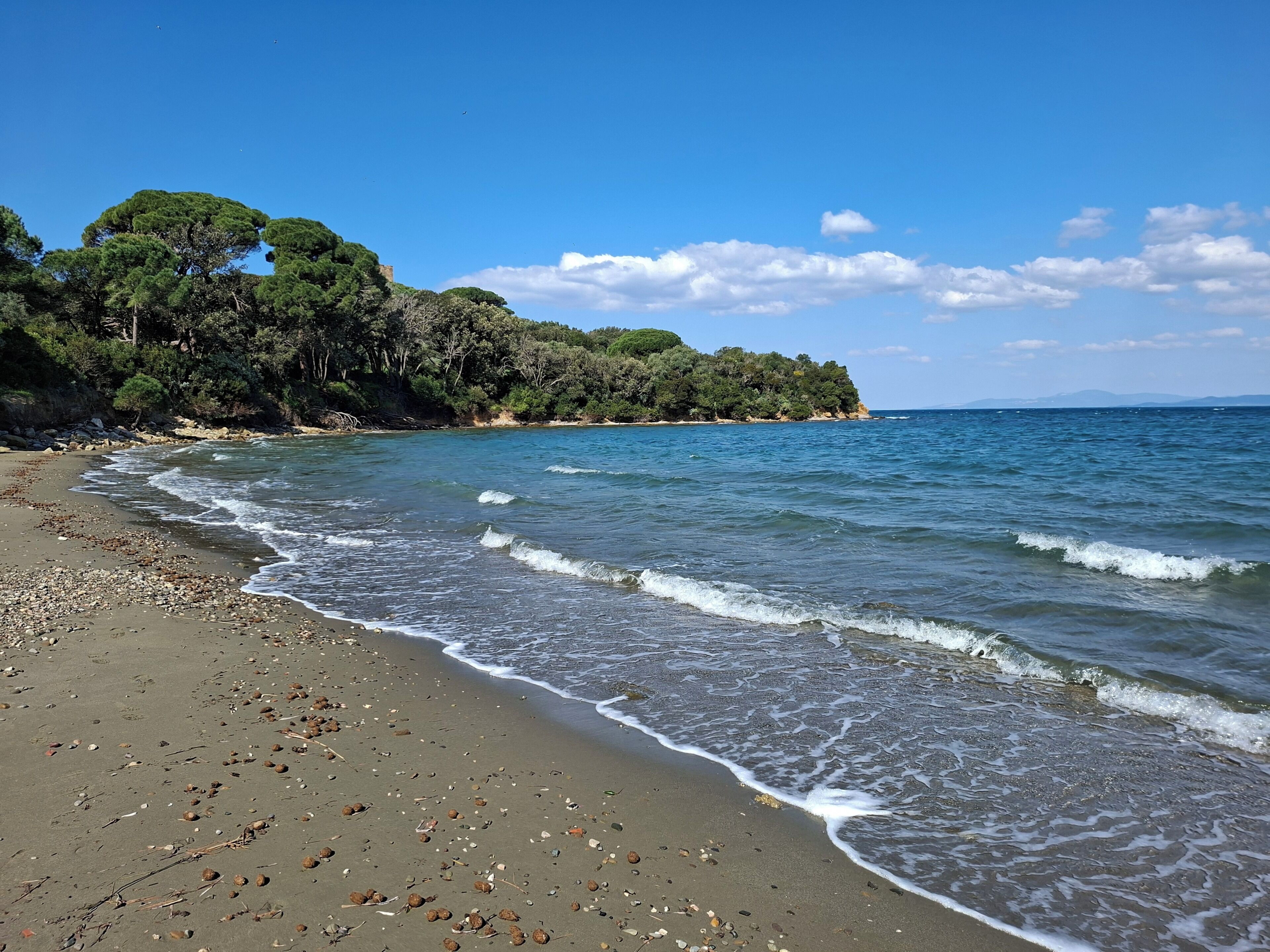 A beach with clear blue water, pebbles, and a forested hill in the background.