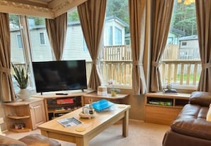 Fireplace - 2 Bed Caravan Sleeps 4 With Parking and Balcony (Jedburgh)