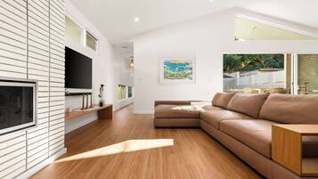 Smart TV, fireplace, books