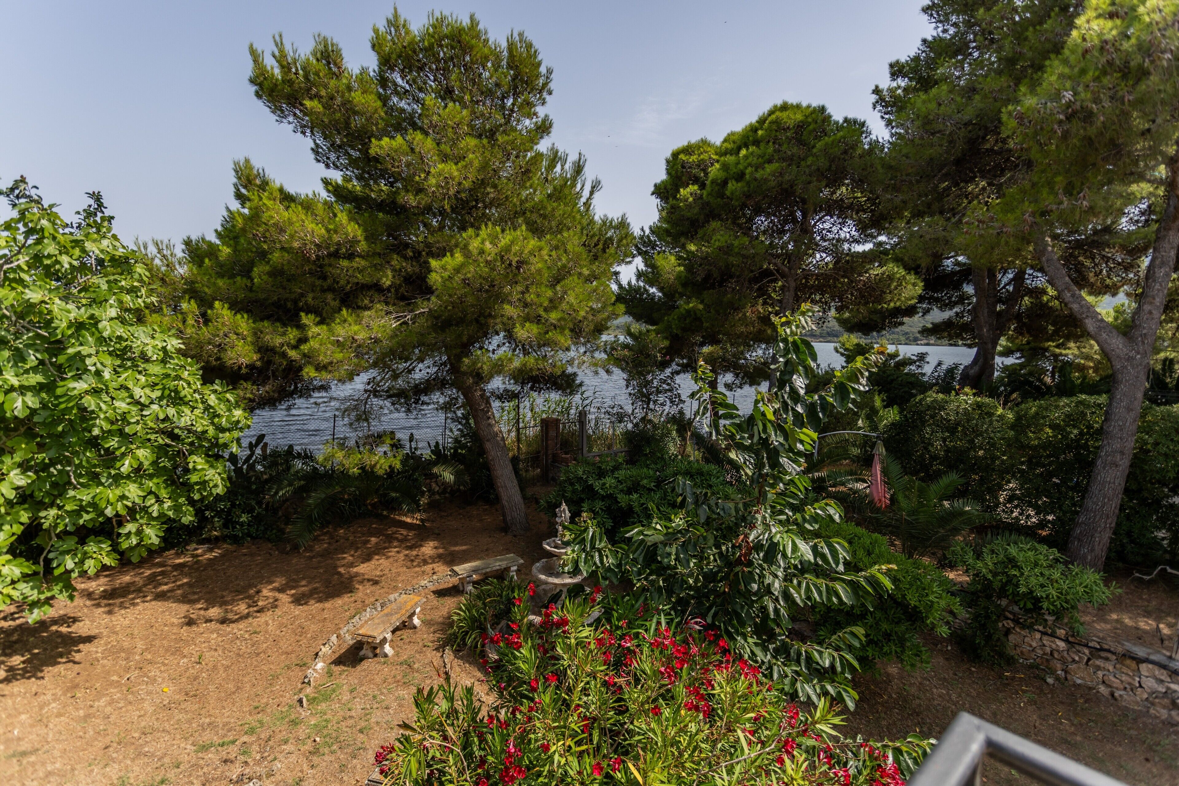 Un jardin agrémenté de divers arbres et arbustes, un sentier en pierre et, au fond, une étendue d’eau.