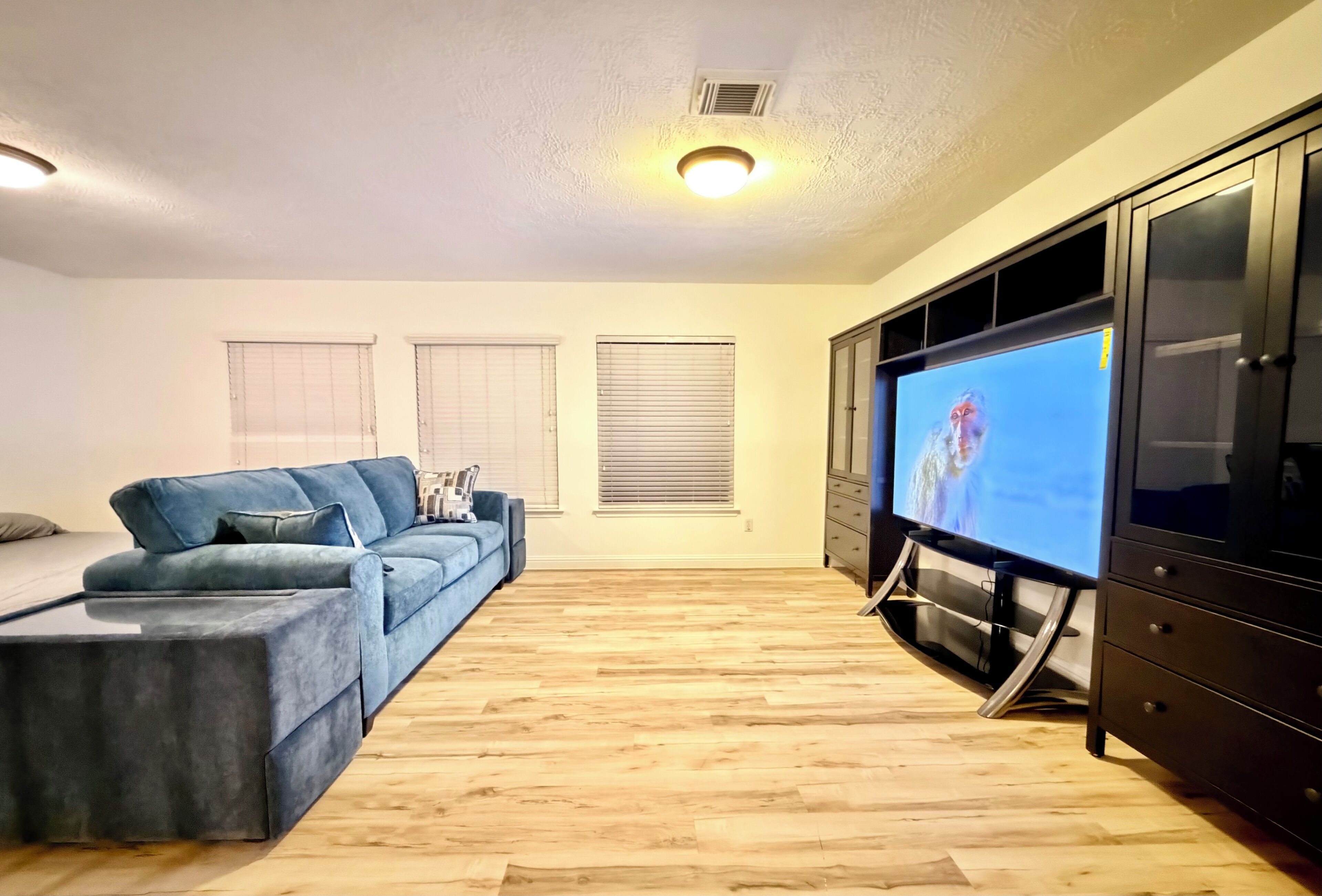Smart TV, books, stereo