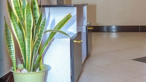 Ein Empfangsbereich mit Blumentopf, einer Rezeption und einer Wand mit kreisförmigen Mustern.