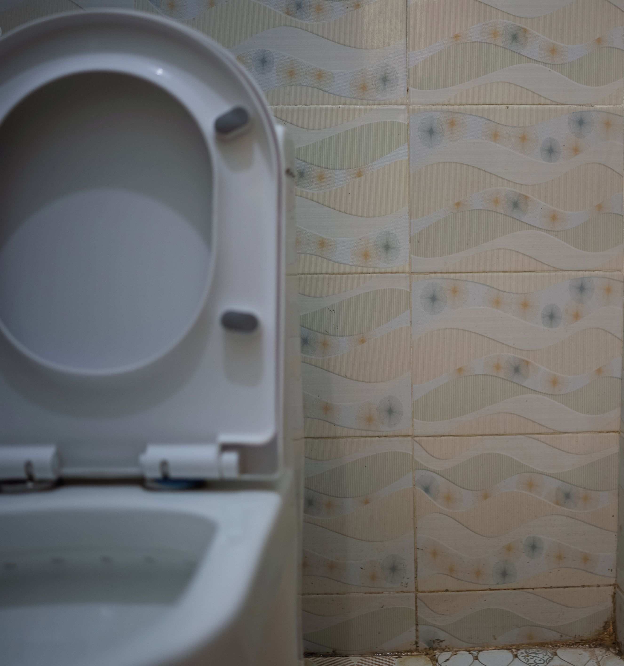 Un inodoro con asiento elevado y una pared con diseño de azulejos.