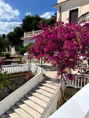 A staircase leading to a building with a white railing and a garden with pink flowers. - Apartment 'A' with Sea View, Private Terrace and Wi-Fi (Minturno)