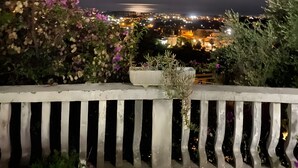 A night view of a coastal area with a curved railing, a potted plant, and a distant cityscape.