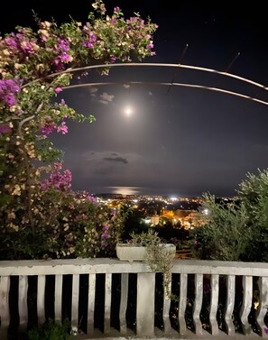 A night view of a coastal area with a curved railing, a potted plant, and a distant cityscape.