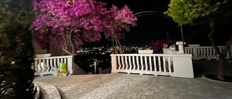 A paved pathway leading to a white railing, with a tree with pink blossoms on the left and a green tree on the right.