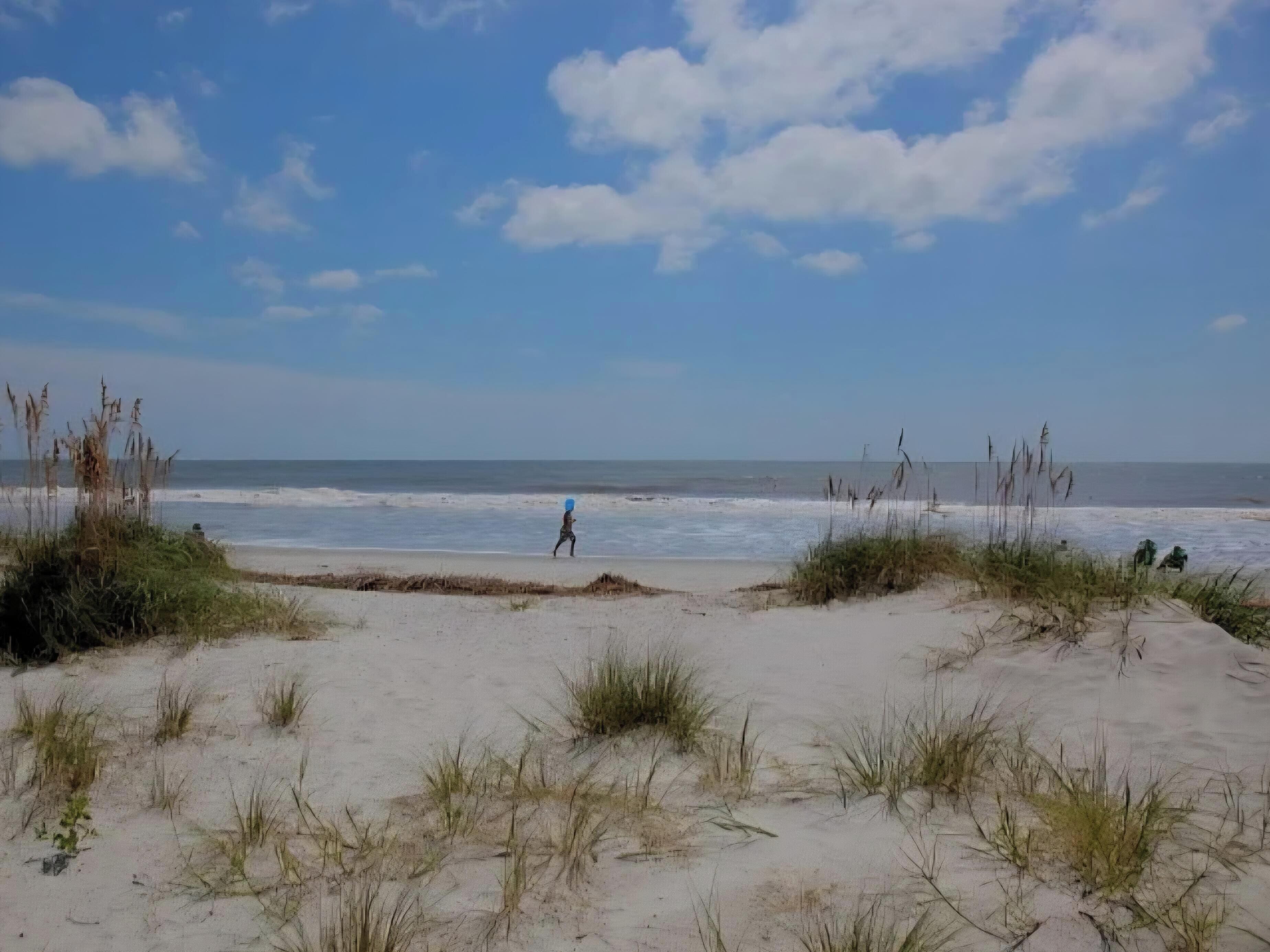 A beach with sand dunes, sparse vegetation, and a clear sky.