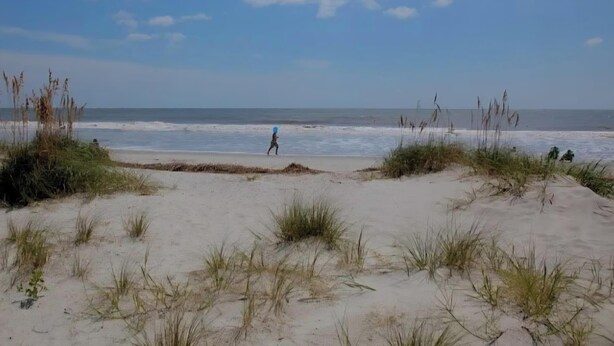 Une plage avec des dunes de sable, une végétation clairsemée et un ciel dégagé.