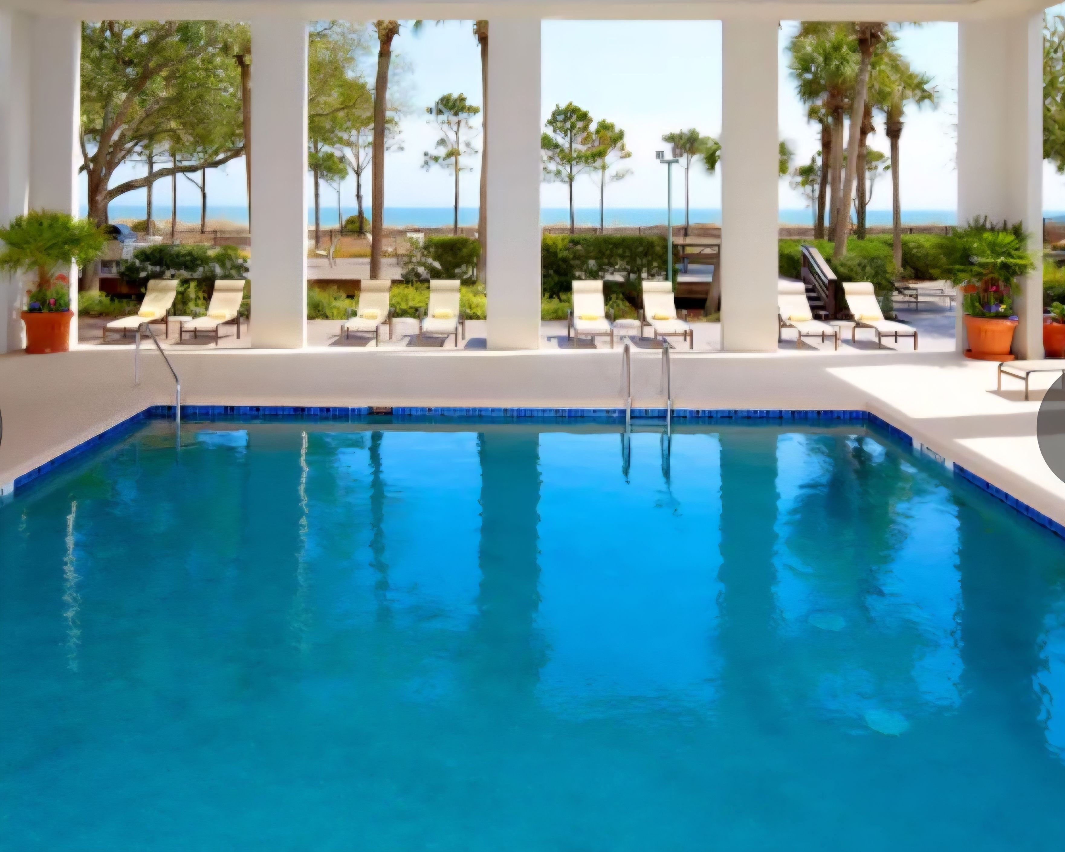 Ein Pool mit klarem, blauem Wasser, umgeben von Liegestühlen und Topfpflanzen.