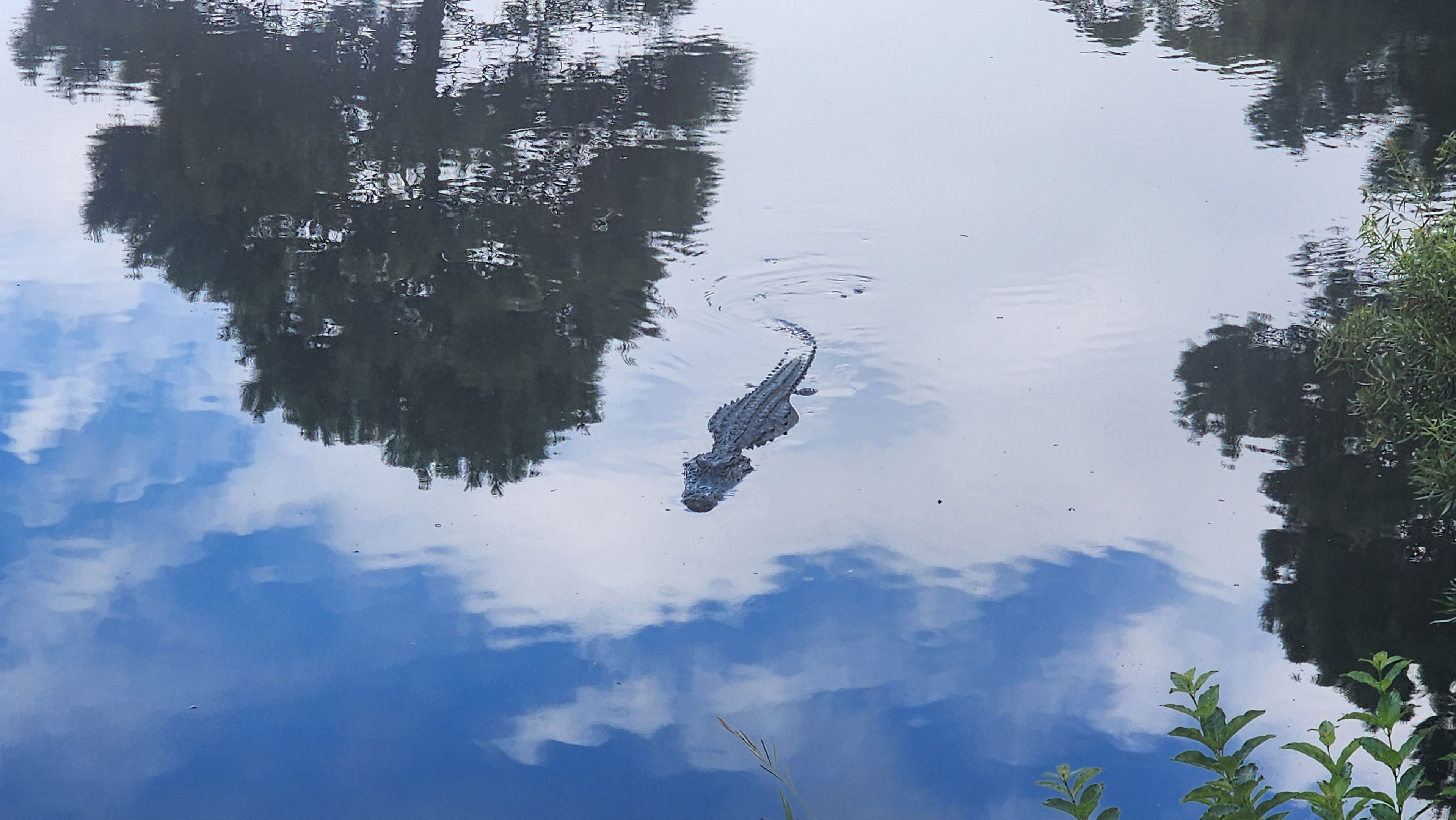 A calm body of water with a reflection of trees and a clear sky.