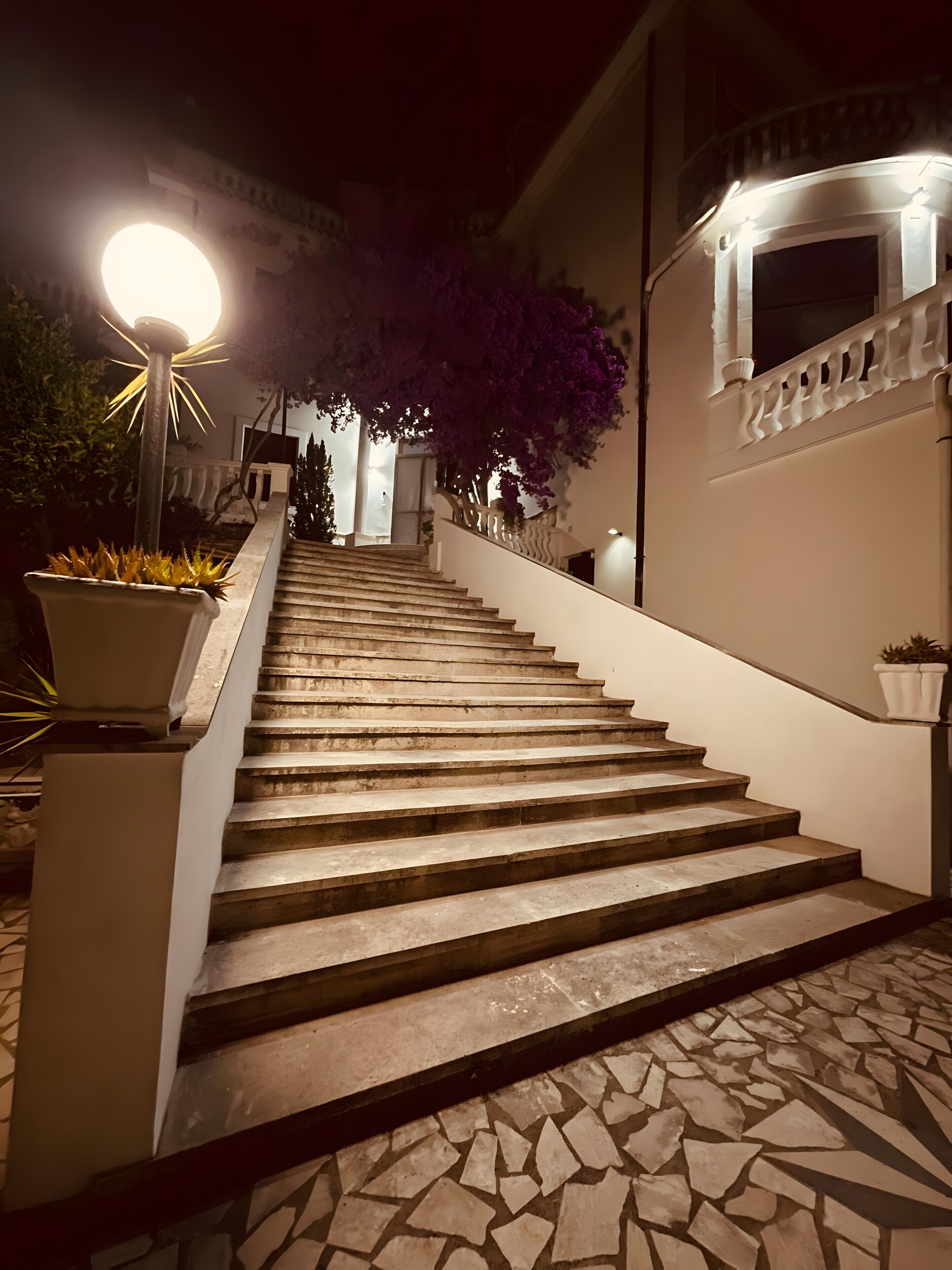 Un escalier menant à l’entrée d’un immeuble, avec un luminaire sur la gauche et une plante en pot sur la droite.