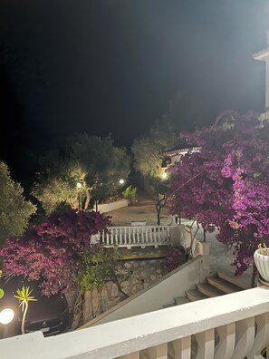 Vista nocturna d'una zona residencial amb una escala, un camí i arbres amb flors morades.