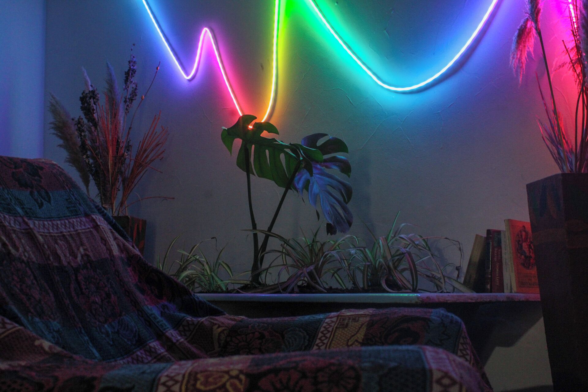 Et værelse med en sofa, en plante og en væg med neonlys.