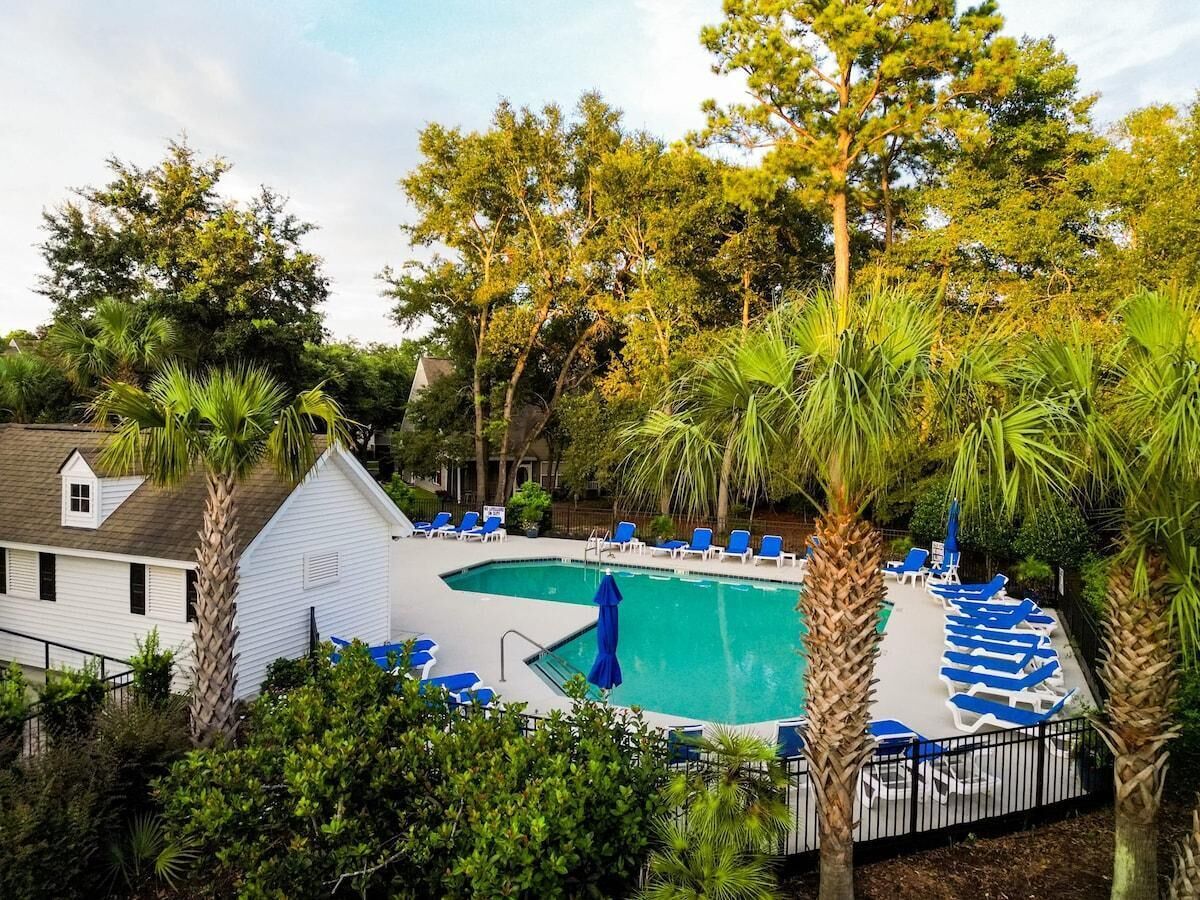 A swimming pool with blue lounge chairs, surrounded by palm trees and other greenery.