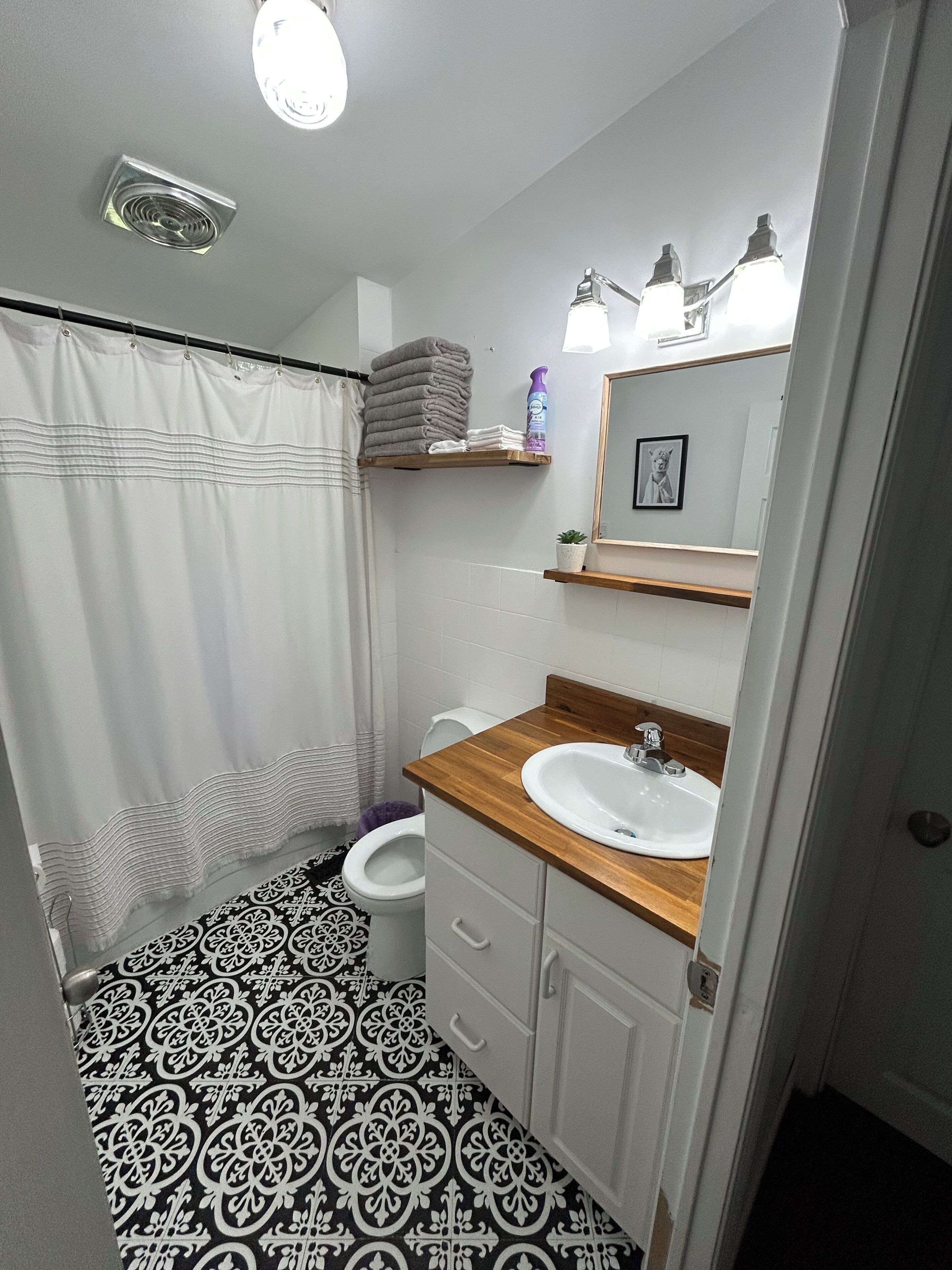Une salle de bain avec un rideau de douche, des toilettes, un lavabo et un miroir.