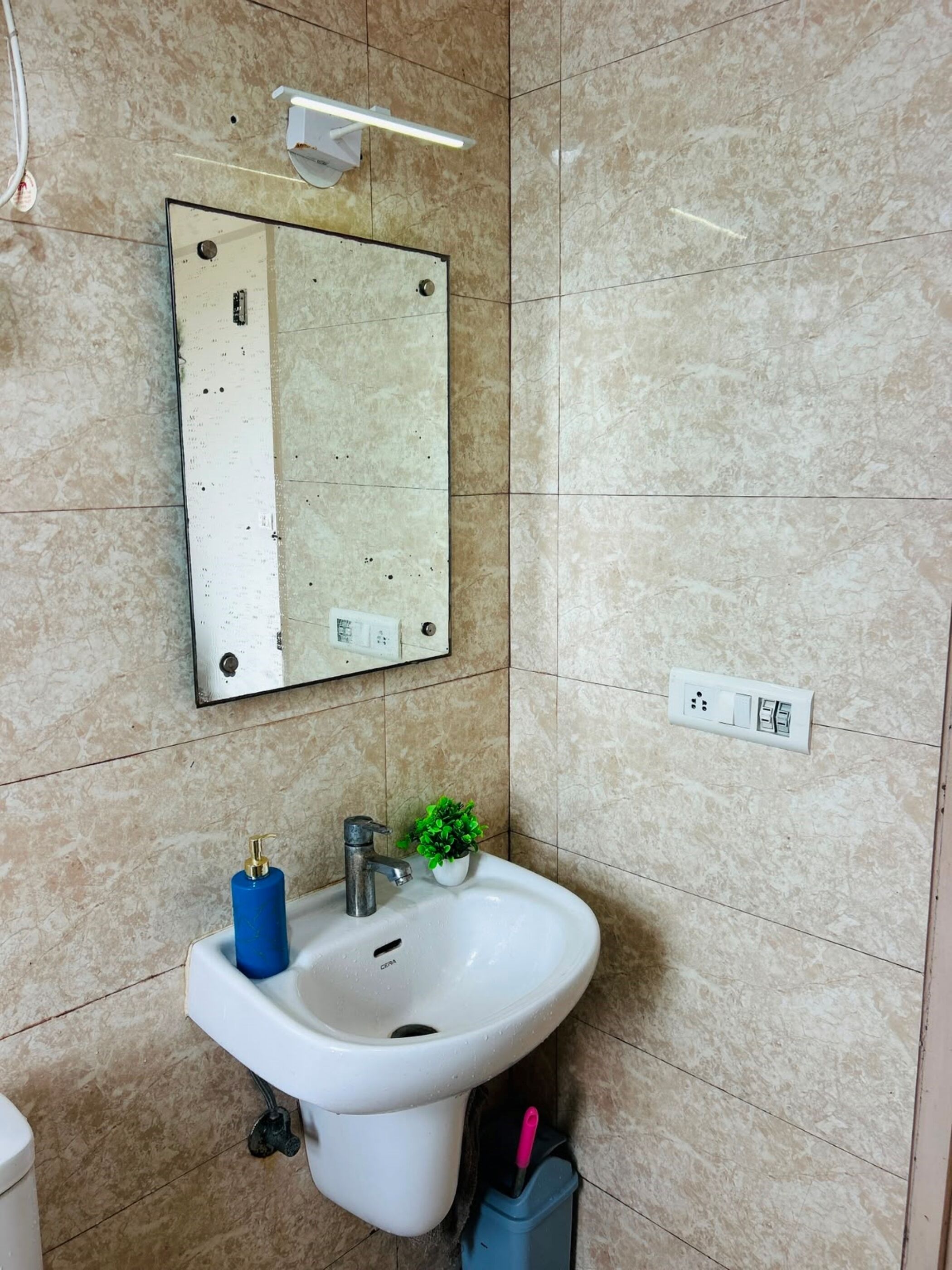 A bathroom with a white sink, a mirror, a small green plant, and a blue soap dispenser.