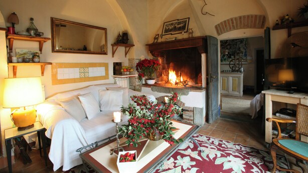 A cozy living room with a fireplace, a sofa, a table with a vase of flowers, and a television. - Pool villa with panoramic view in Cortona (Sodo)