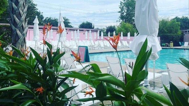 Un espace aménagé au bord de la piscine, avec des chaises longues, un parasol blanc et des plantes tropicales.