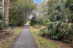 A paved pathway flanked by dense greenery and a small bridge. - Beach Belle- Pet Friendly- Luxury Edisto Home (Edisto Island)
